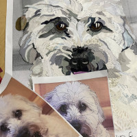 Photo to Pet Portrait  2-Day - 102T - Product Image